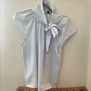 Ann Taylor Light Blue Striped Blouse